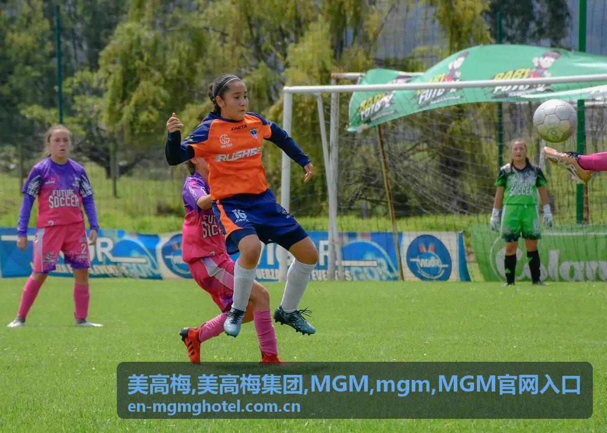 美高梅集团 MGM 服务场景中文信息展示